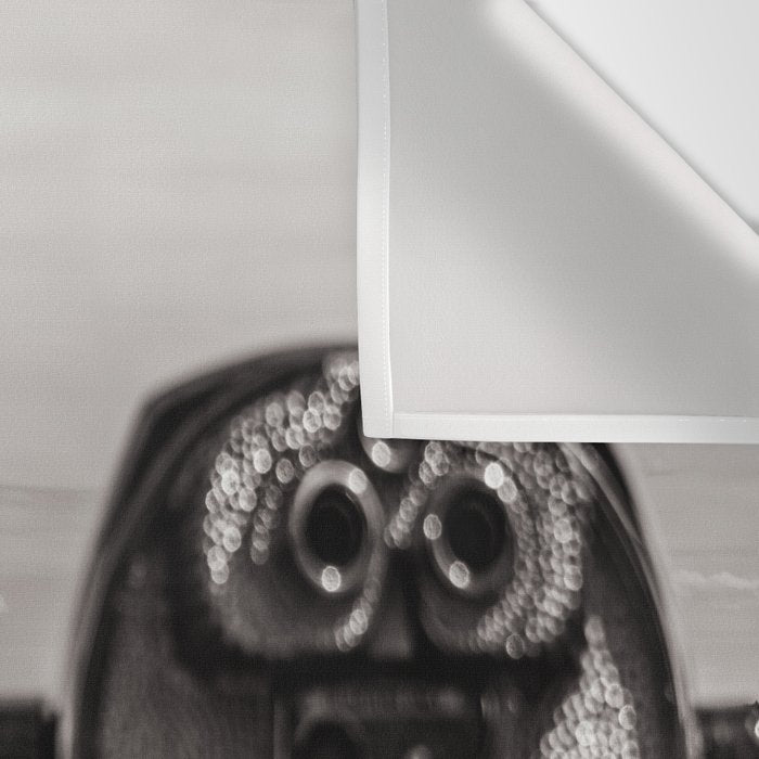 Mountain Tourist Binoculars Black and White Wall Tapestry Gallery Image 3