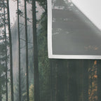 Forest Drive Wall Tapestry Gallery Image 3