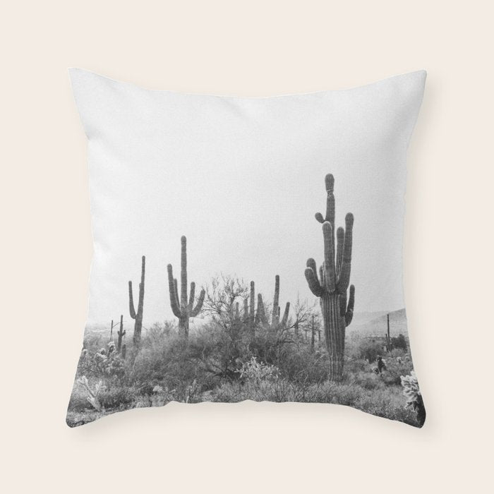 ARIZONA DESERT VI / Scottsdale Throw Pillow Gallery Image 6