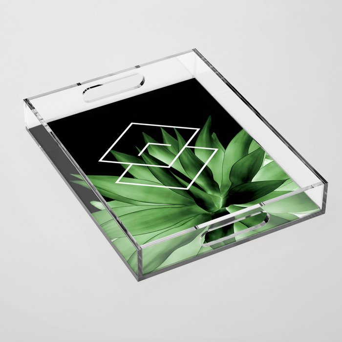 Agave geometrics III Acrylic Tray Gallery Image 1