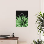 Agave geometrics III Poster Gallery Image 2