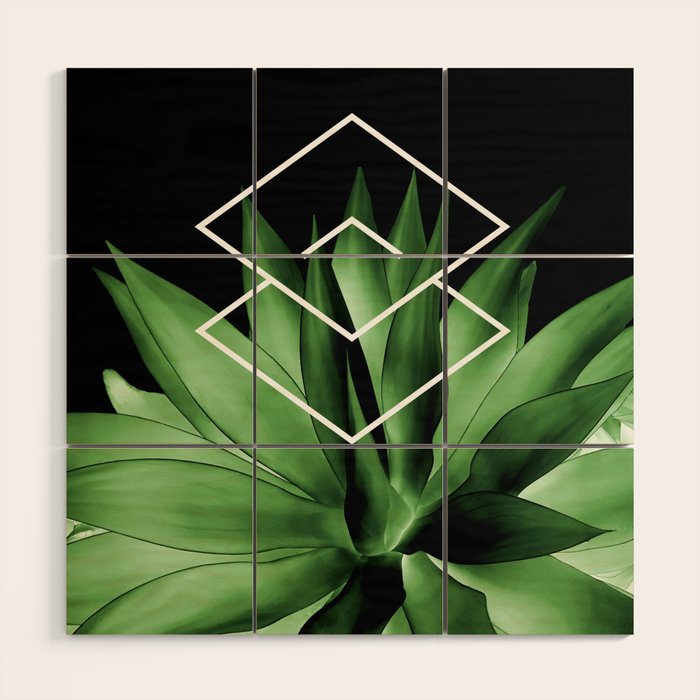 Agave geometrics III Wood Wall Art Gallery Image 1