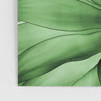 Agave geometrics III Poster Gallery Image 3