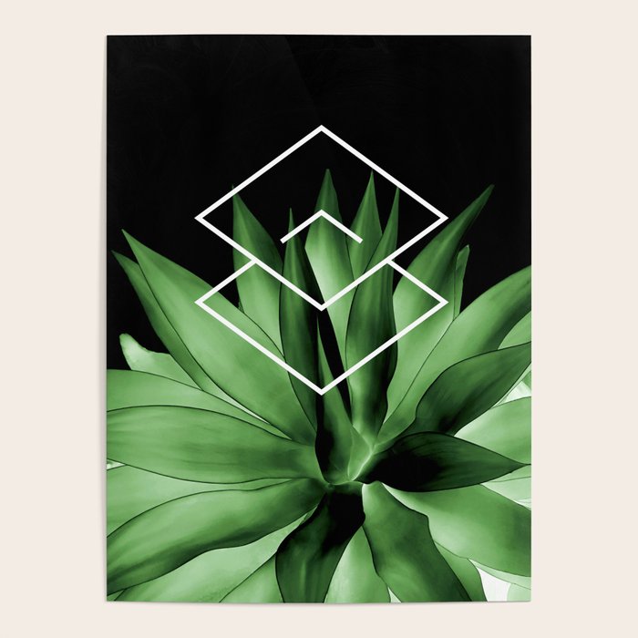 Agave geometrics III Poster Gallery Image 1