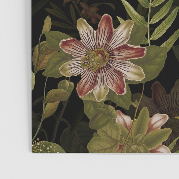 Midnight Summer Sepia Exotic Passiflora Flowers Garden Poster Gallery Image 3