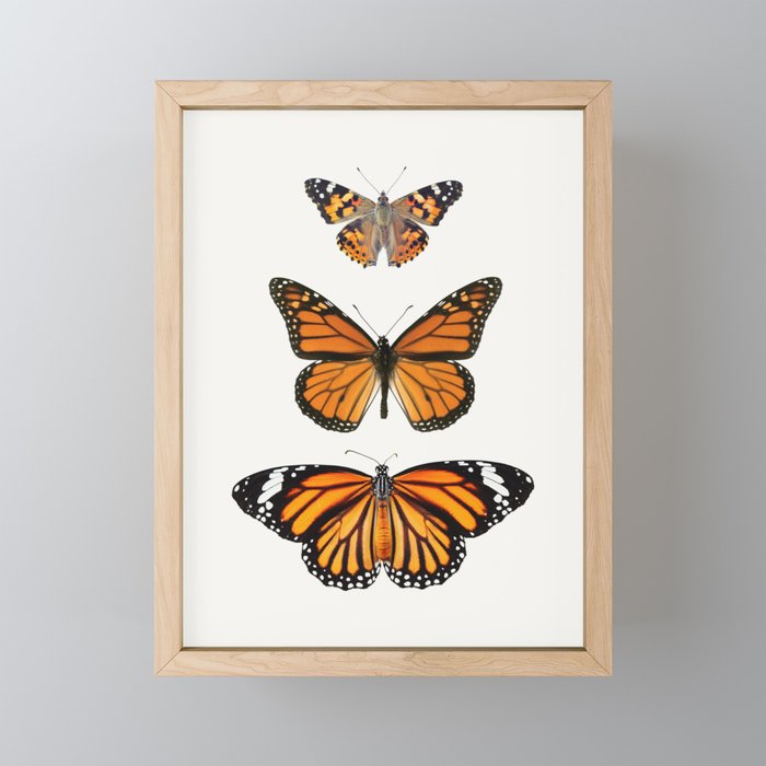 Monarch Butterflies III Mini Art Print Gallery Image 1