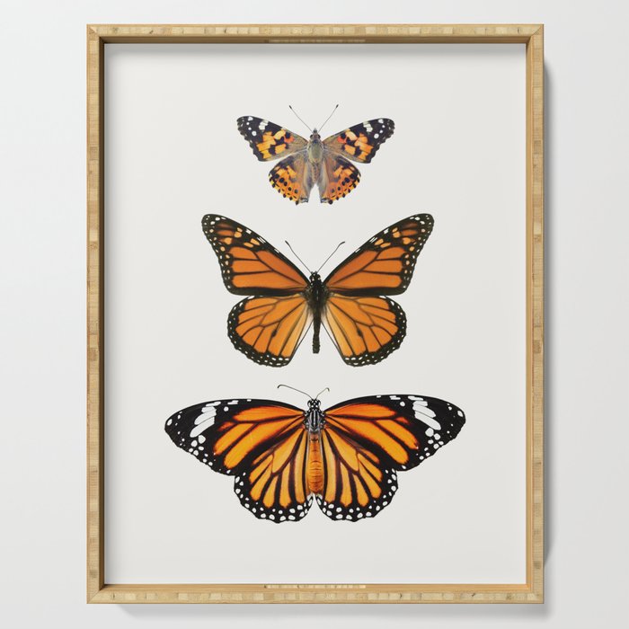 Monarch Butterflies III Serving Tray Gallery Image 1