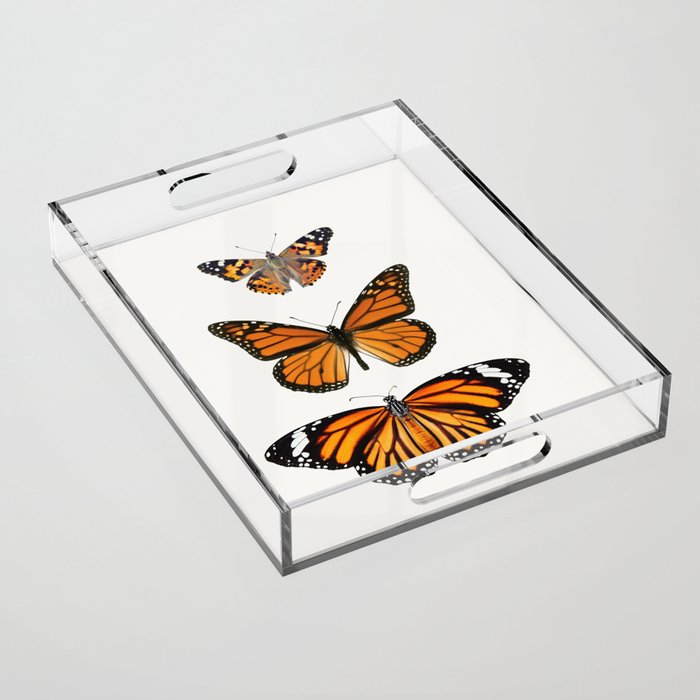 Monarch Butterflies III Acrylic Tray Gallery Image 1