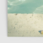Morning Swim Poster Gallery Image 3