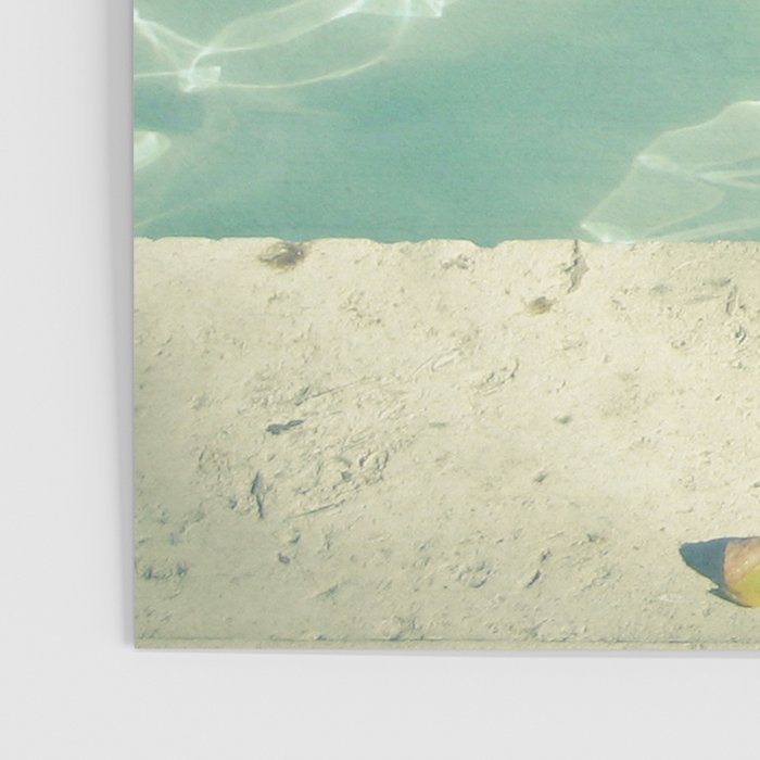 Morning Swim Poster Gallery Image 3