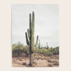 Desert Cactus Poster Gallery Image 4