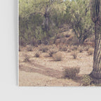 Desert Cactus Poster Gallery Image 3