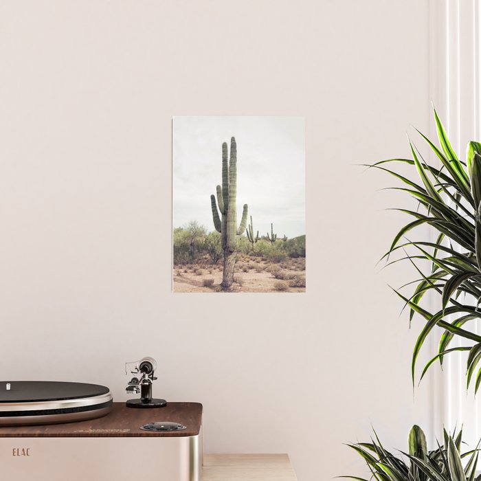 Desert Cactus Poster Gallery Image 2
