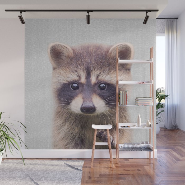 Raccoon - Colorful Wall Mural Gallery Image 1