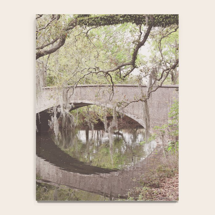 Audubon Park Reflections x New Orleans Photography Notebook Gallery Image 4
