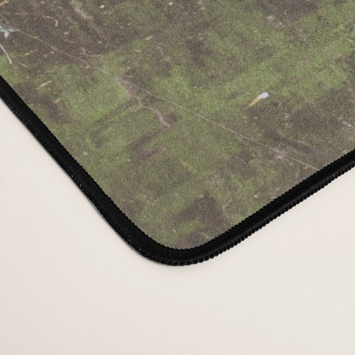 Audubon Park Reflections x New Orleans Photography Desk Mat Gallery Image 4
