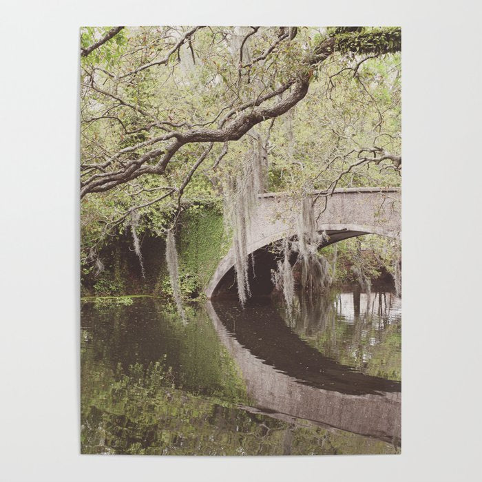 Audubon Park Reflections x New Orleans Photography Poster Gallery Image 4