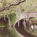 Audubon Park Reflections x New Orleans Photography Coffee Mug Gallery Image 2