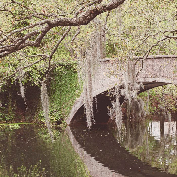 Audubon Park Reflections x New Orleans Photography Coffee Mug Gallery Image 2