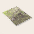 Audubon Park Reflections x New Orleans Photography Notebook Gallery Image 3