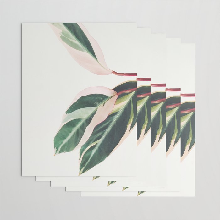 Pink Leaves III Wrapping Paper Gallery Image 3