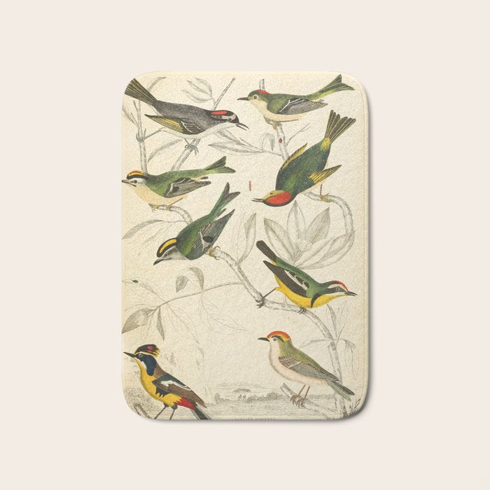 Kinglets from The Edinburgh Journal, 1835 (benefitting The Nature Conservancy) Bath Mat Gallery Image 1