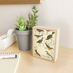 Kinglets from The Edinburgh Journal, 1835 (benefitting The Nature Conservancy) Mini Art Print Gallery Image 2