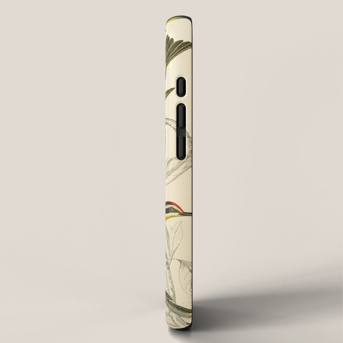 Kinglets from The Edinburgh Journal, 1835 (benefitting The Nature Conservancy) iPhone Case Gallery Image 2