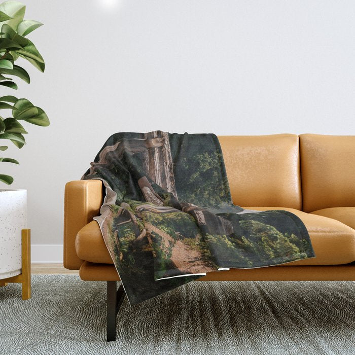 Mount Rainier National Park Entrance Throw Blanket Gallery Image 1