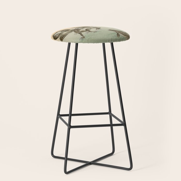 Frog Sumo - Ohara Koson Stool Gallery Image 1