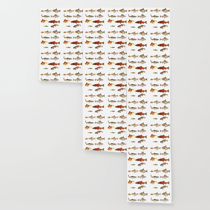 Fishing Line Wallpaper Gallery Image 3