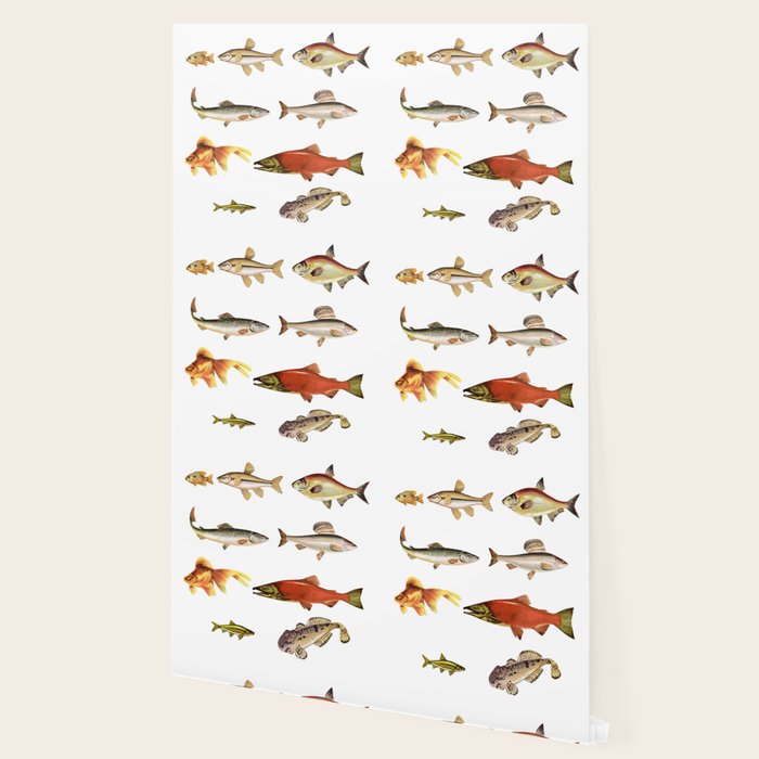 Fishing Line Wallpaper Gallery Image 2