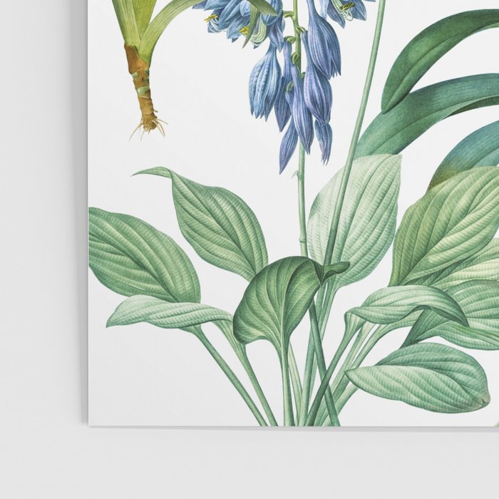 Blue Botanical Floral Poster Gallery Image 3