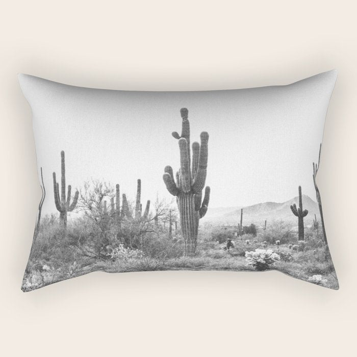 ARIZONA DESERT VI / Scottsdale Rectangular Pillow Gallery Image 1