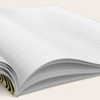 Palmy Night Notebook Gallery Image 2