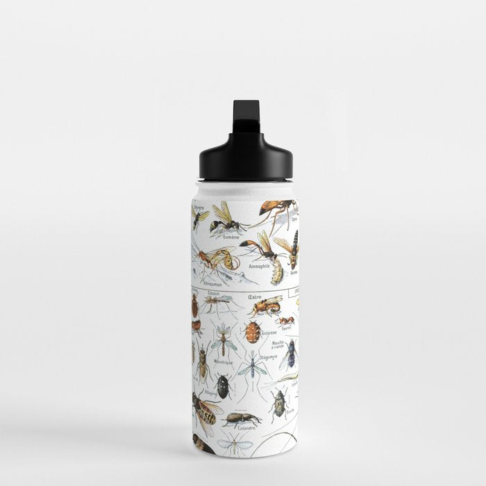 Insects Illustrations by Millot and Larousse Water Bottle Gallery Image 3