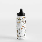 Insects Illustrations by Millot and Larousse Water Bottle Gallery Image 3