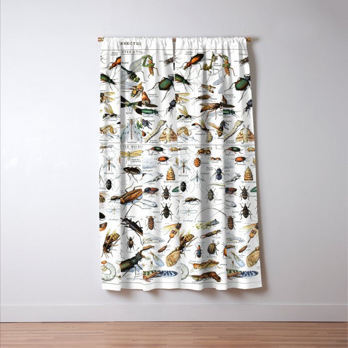 Insects Illustrations by Millot and Larousse Window Curtain Gallery Image 3