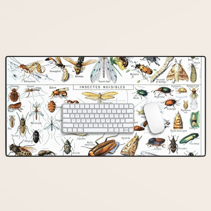 Insects Illustrations by Millot and Larousse Desk Mat Gallery Image 1