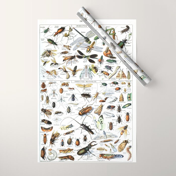Insects Illustrations by Millot and Larousse Wrapping Paper Gallery Image 1