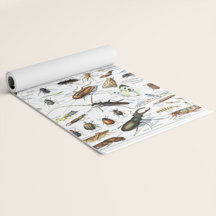 Insects Illustrations by Millot and Larousse Yoga Mat Gallery Image 2