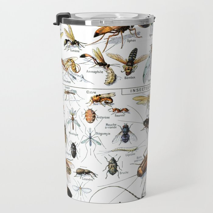 Insects Illustrations by Millot and Larousse Travel Mug Gallery Image 3