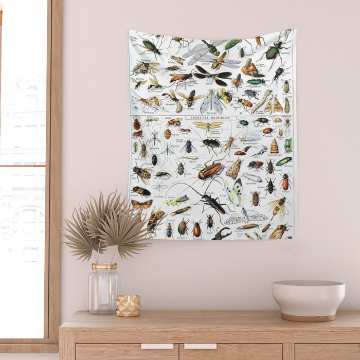 Insects Illustrations by Millot and Larousse Wall Tapestry Gallery Image 2