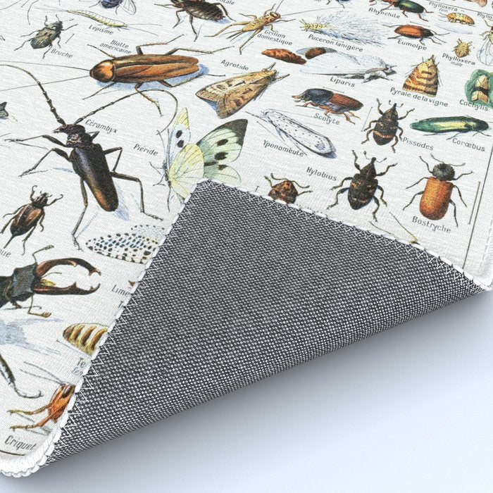 Insects Illustrations by Millot and Larousse Rug Gallery Image 4