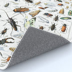 Insects Illustrations by Millot and Larousse Rug Gallery Image 4