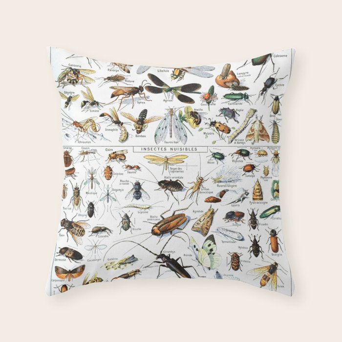 Insects Illustrations by Millot and Larousse Throw Pillow Gallery Image 6