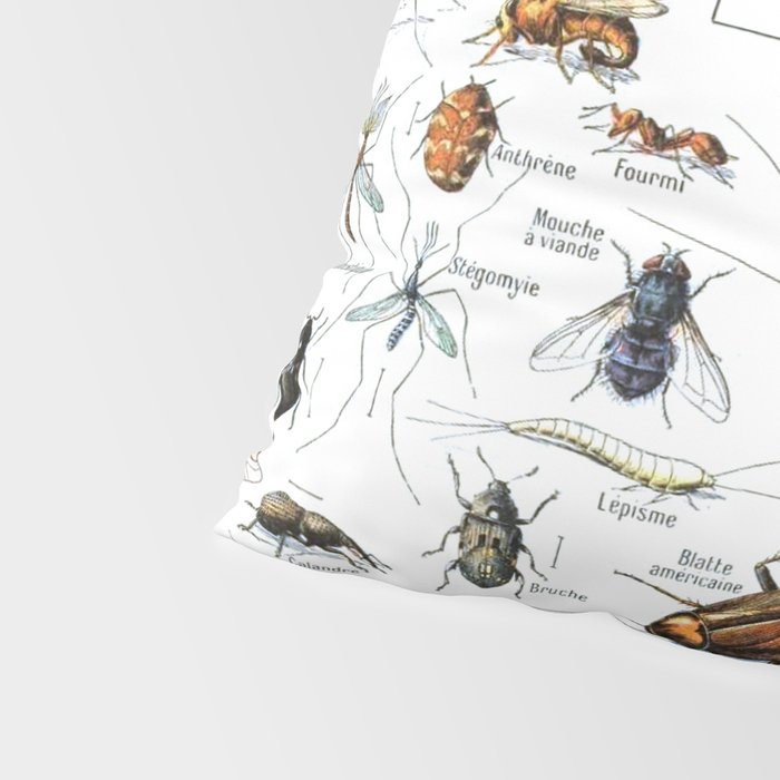 Insects Illustrations by Millot and Larousse Pillow Sham Gallery Image 4