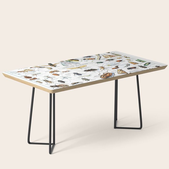 Insects Illustrations by Millot and Larousse Coffee Table Gallery Image 1