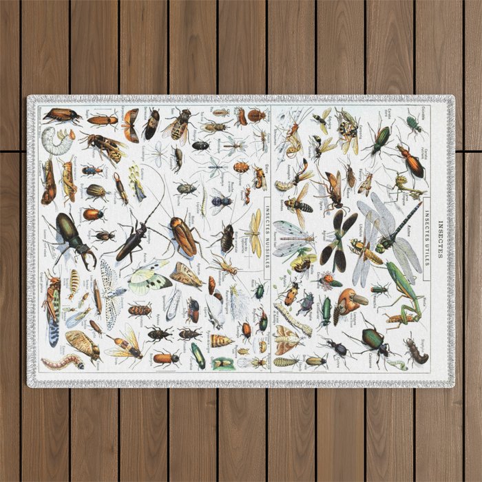 Insects Illustrations by Millot and Larousse Outdoor Rug Gallery Image 1