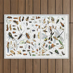 Insects Illustrations by Millot and Larousse Outdoor Rug Gallery Image 1